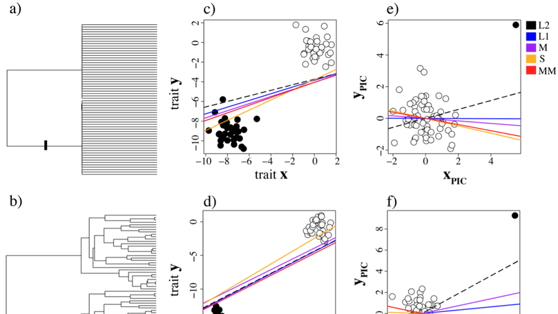 Robust algorithms for phylogenetic regression published!