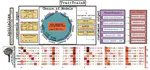 TraitTrainR published in Bioinformatics Advances!