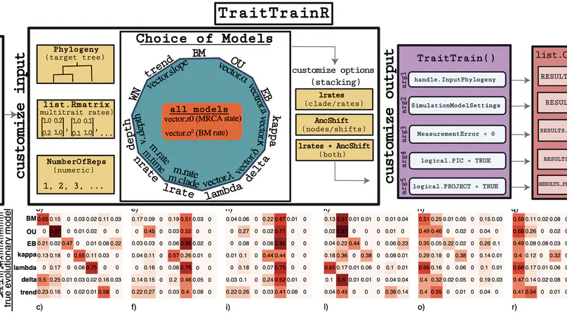 TraitTrainR published in Bioinformatics Advances!